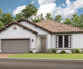 3D Elevation Rendering