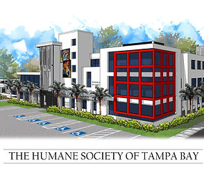 Humane Society of Tampa Bay